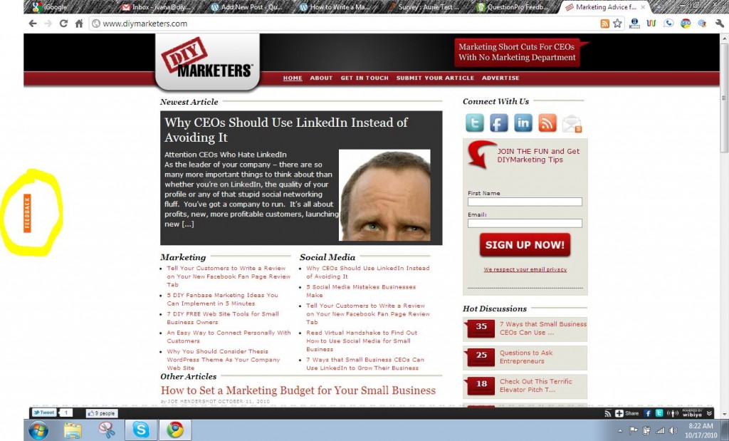 diyscreenshot image