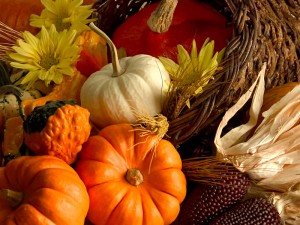 thanksgiving-westmont-il image