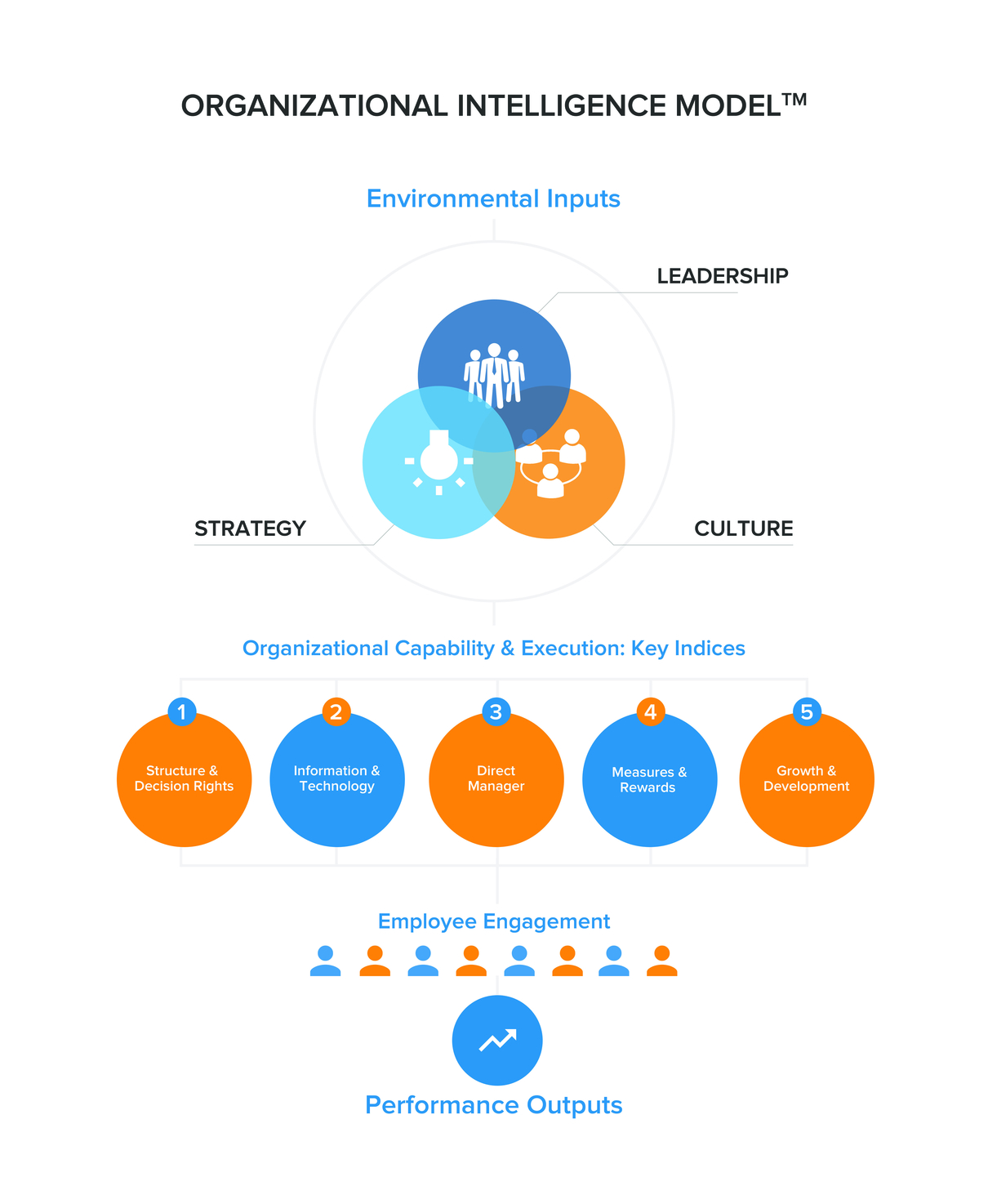 Organizational Intelligence Surveys: A Smarter Workforce Survey