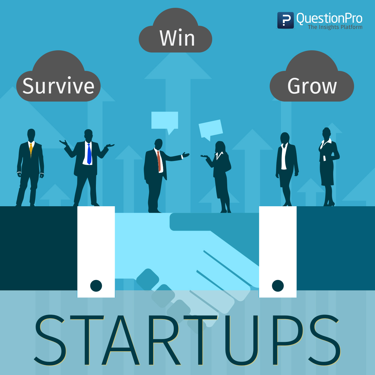 startup, win & grow