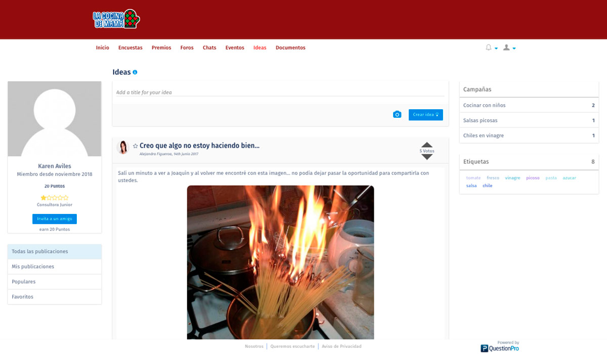características de un portal web