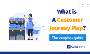 Customer journey mapping