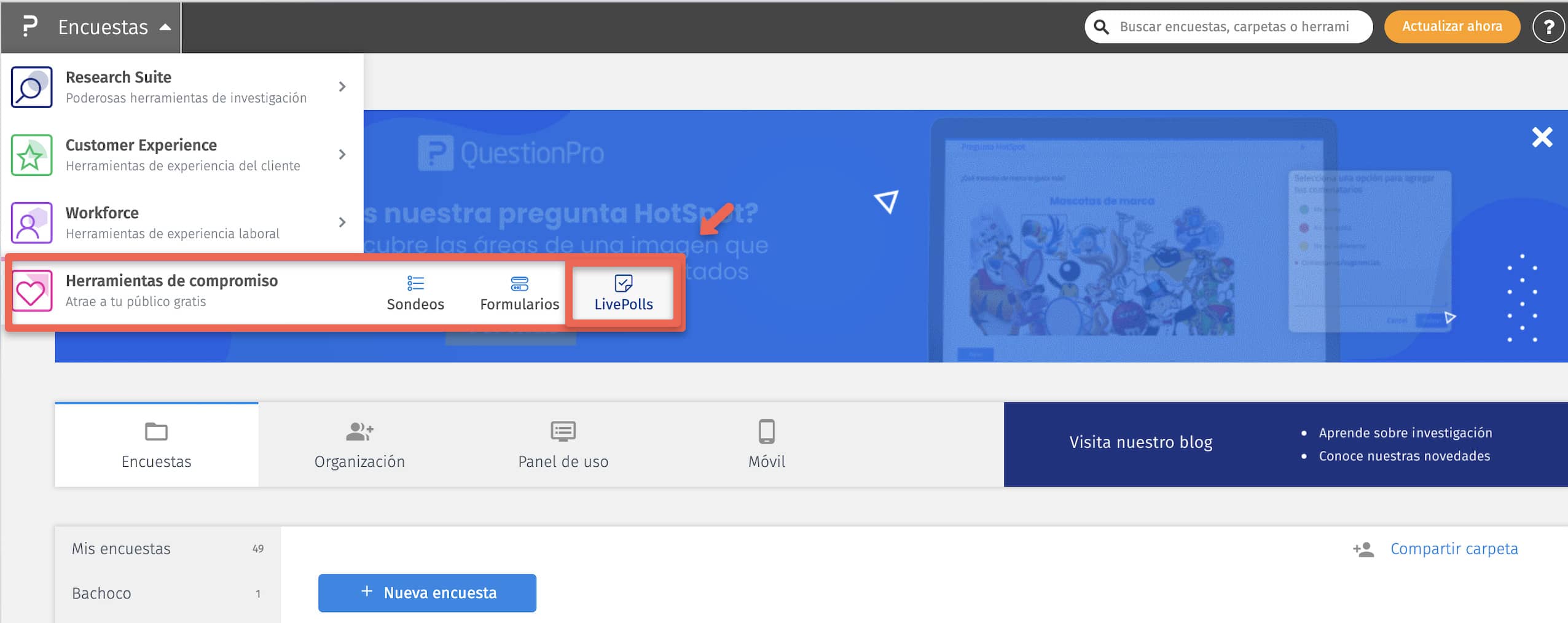esempio di strumenti di trivia online