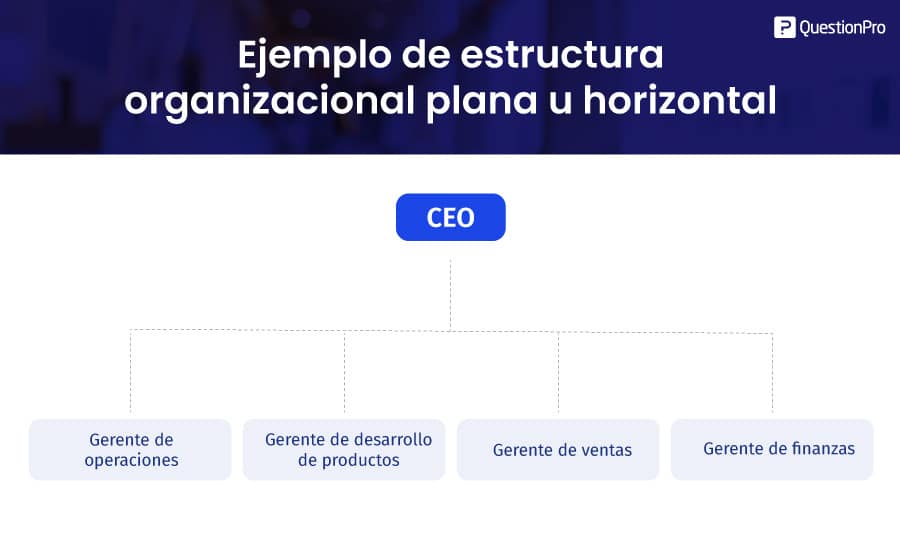estructura organizacional plana u horizontal