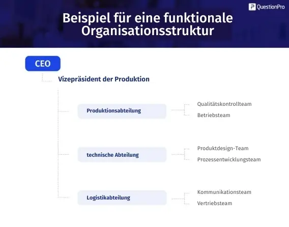 Funktionale Organisationsstruktur Funktionale Organisationsstruktur
