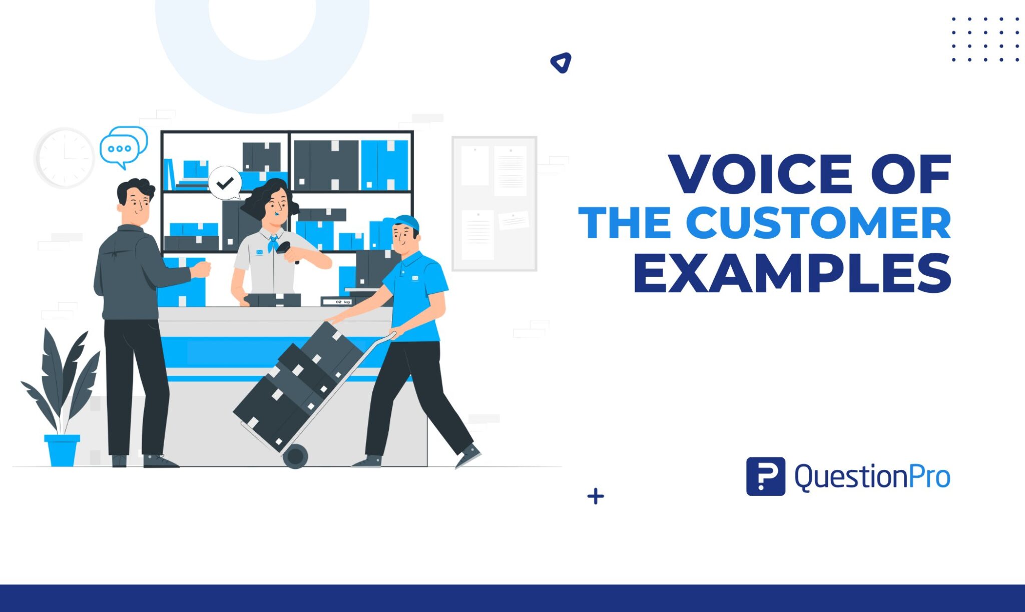 voice-of-the-customer-examples