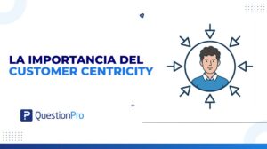 customer centricity