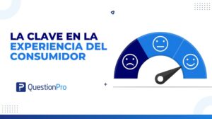 experiencia del consumidor